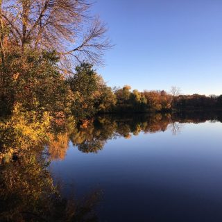 Fall reflections